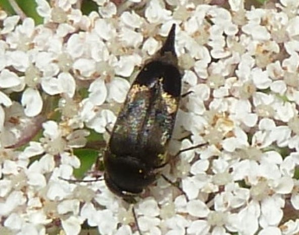 la-mordelle