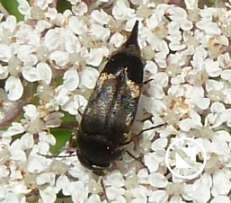 la-mordelle